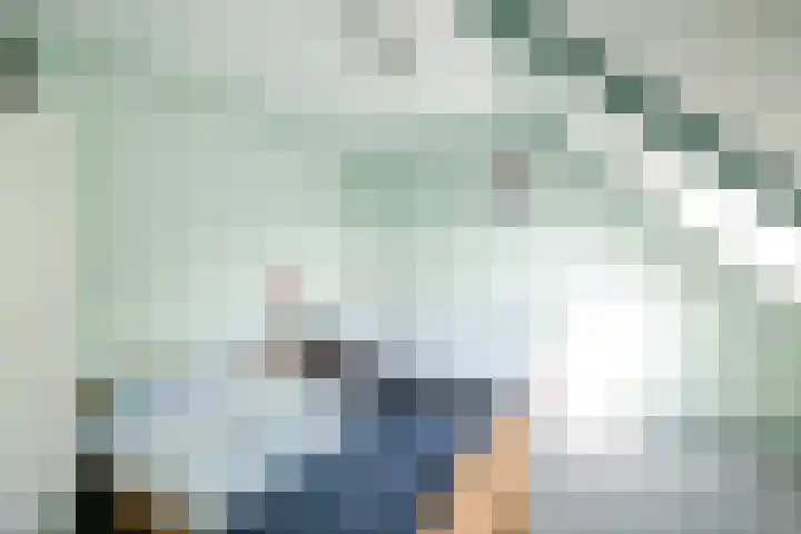 Rollecate 22 Nieuwleusen thumbnail 27