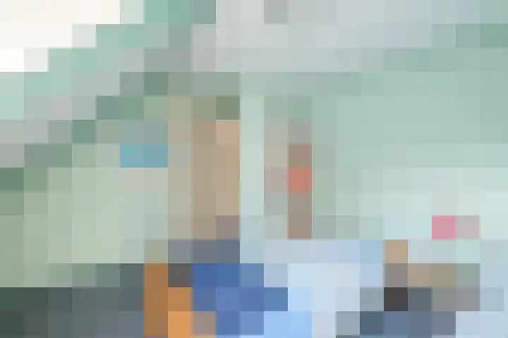 Rollecate 22 Nieuwleusen thumbnail 28