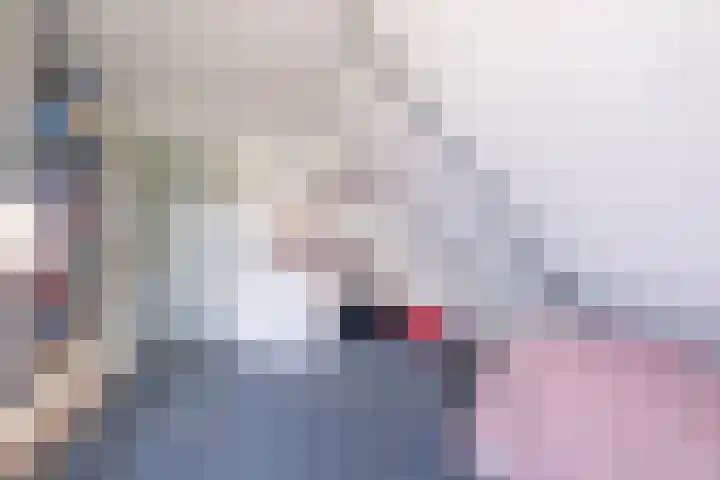 Rollecate 22 Nieuwleusen thumbnail 30