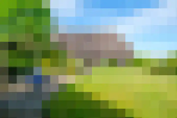 Rollecate 22 Nieuwleusen thumbnail 34