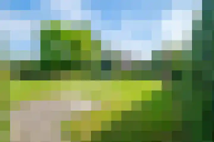 Rollecate 22 Nieuwleusen thumbnail 35