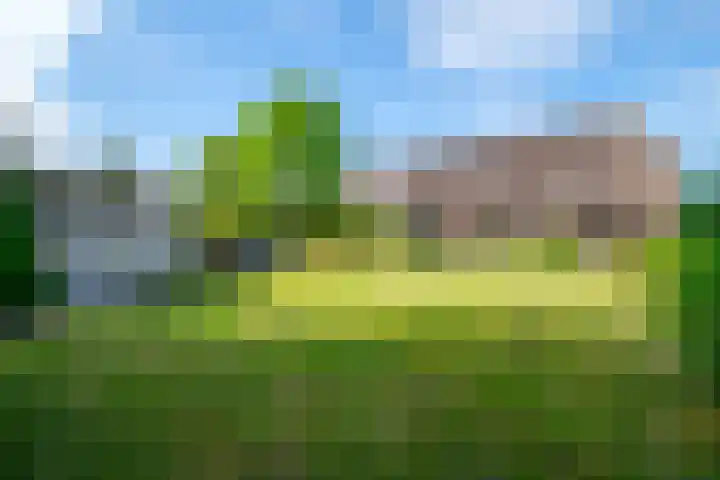 Rollecate 22 Nieuwleusen thumbnail 36