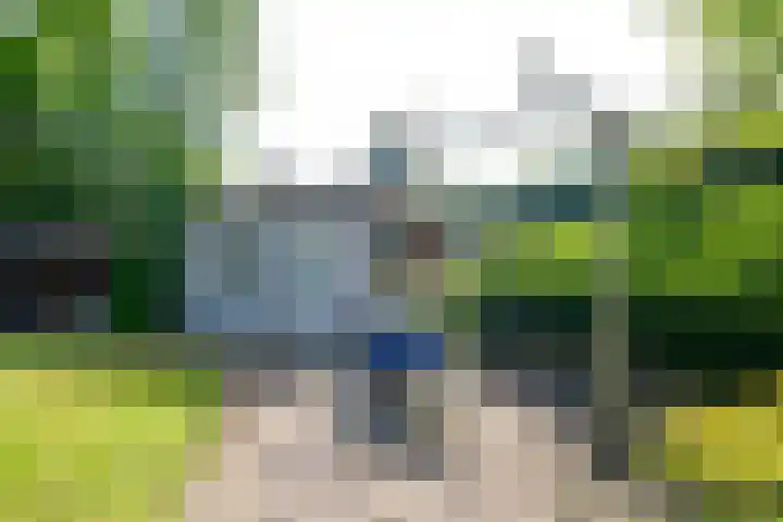 Rollecate 22 Nieuwleusen thumbnail 37