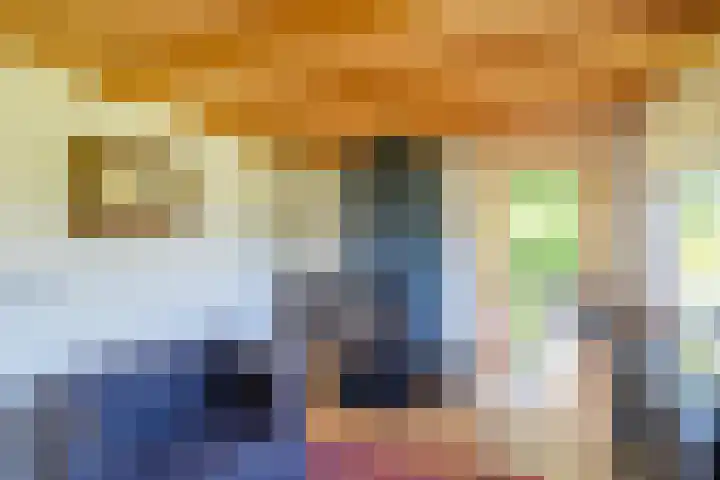 Rollecate 22 Nieuwleusen thumbnail 39