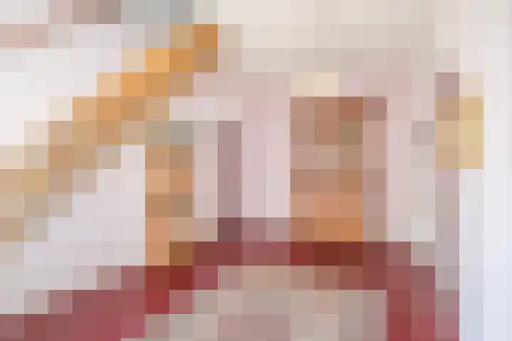 Rollecate 22 Nieuwleusen thumbnail 4