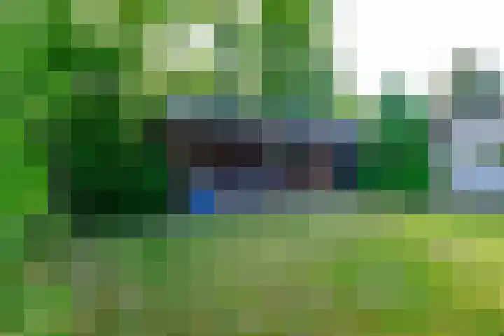 Rollecate 22 Nieuwleusen thumbnail 40
