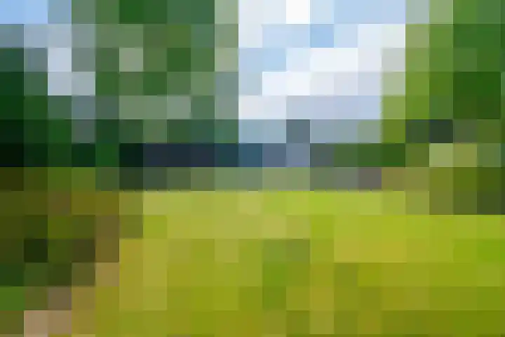 Rollecate 22 Nieuwleusen thumbnail 41