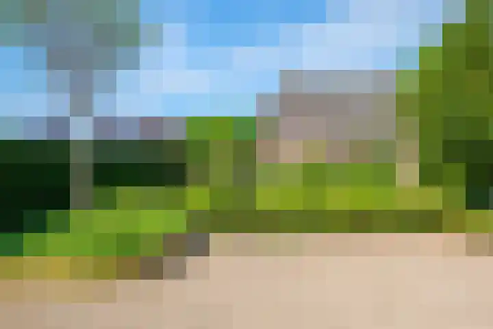 Rollecate 22 Nieuwleusen thumbnail 43