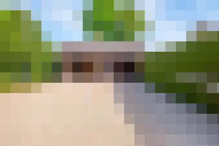 Rollecate 22 Nieuwleusen thumbnail 44