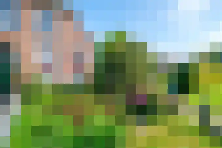Rollecate 22 Nieuwleusen thumbnail 45
