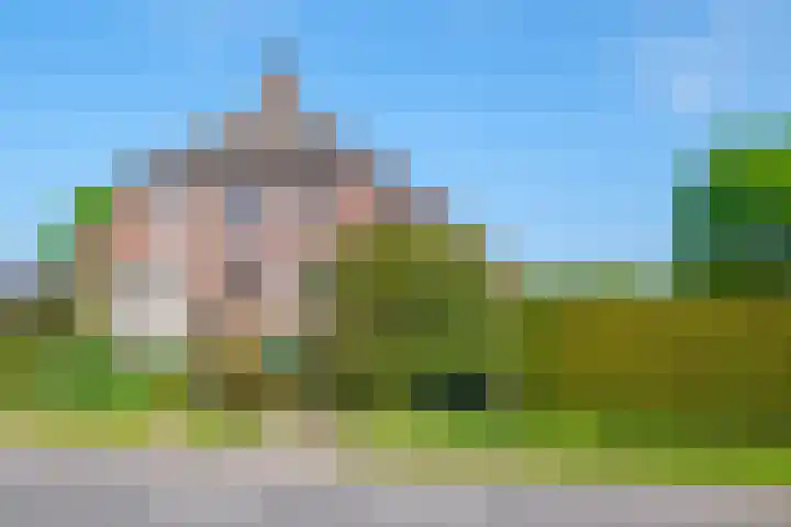 Rollecate 22 Nieuwleusen thumbnail 46