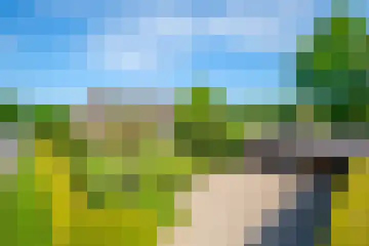 Rollecate 22 Nieuwleusen thumbnail 47