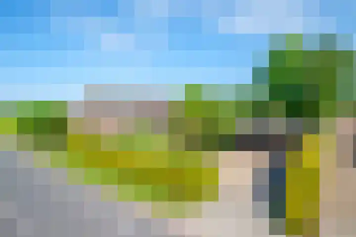 Rollecate 22 Nieuwleusen thumbnail 48