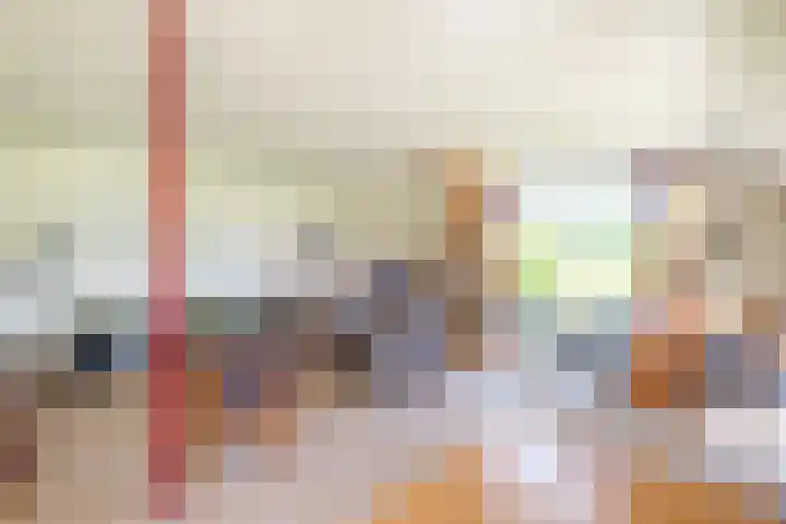 Rollecate 22 Nieuwleusen thumbnail 5