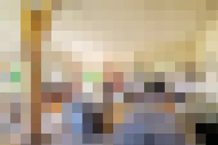 Rollecate 22 Nieuwleusen thumbnail 8