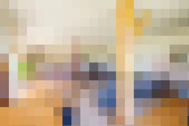 Rollecate 22 Nieuwleusen thumbnail 9