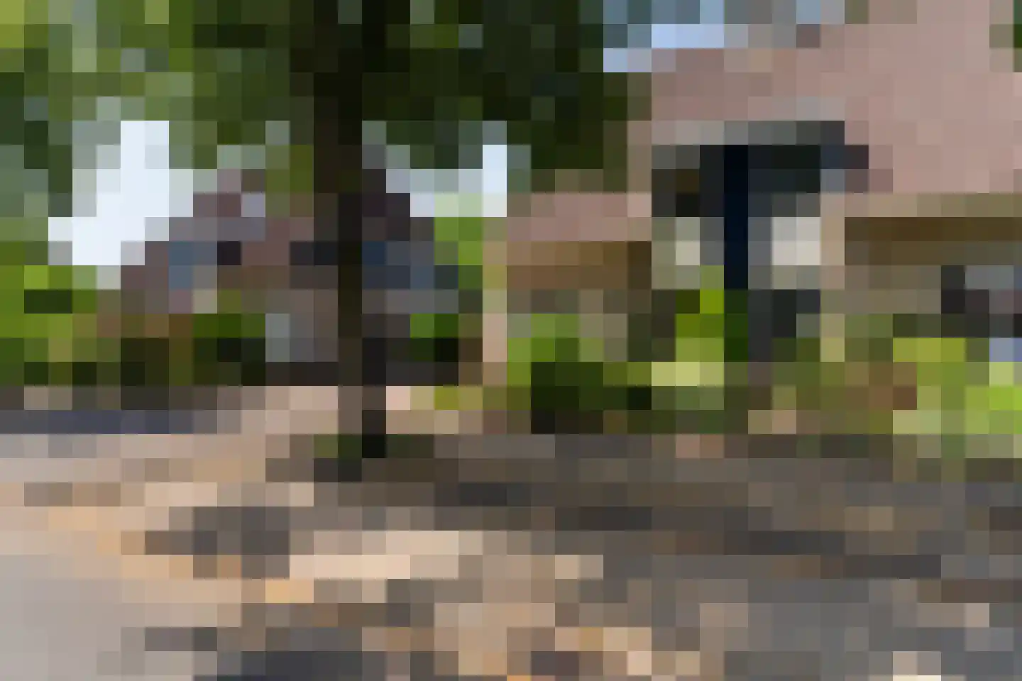 Rollemastate 104 Leeuwarden thumbnail 10