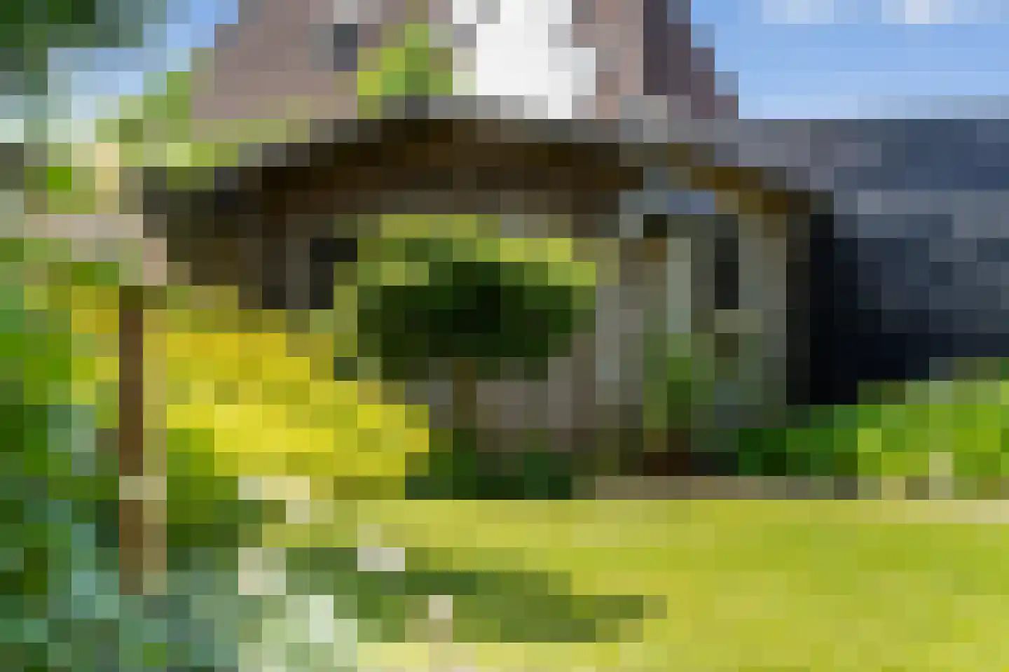 Rollemastate 104 Leeuwarden thumbnail 36