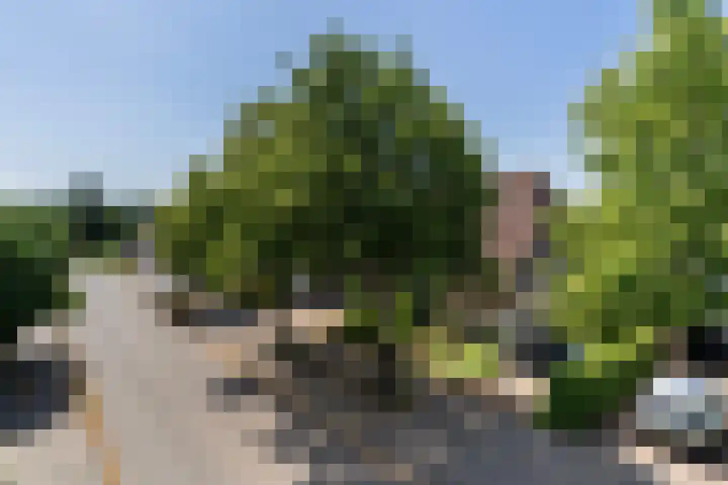 Rollemastate 104 Leeuwarden thumbnail 7