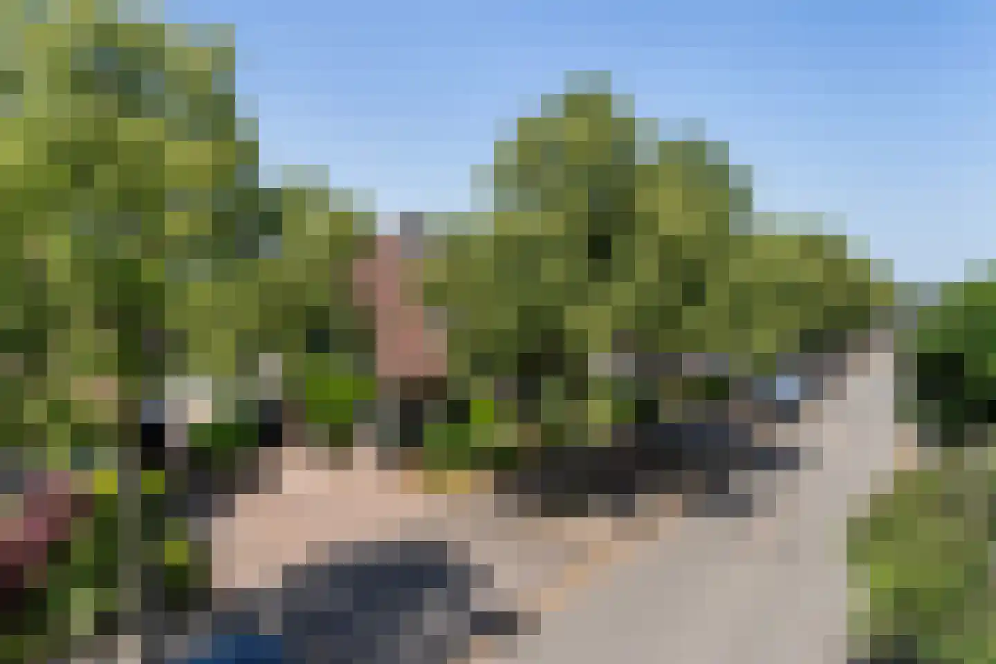 Rollemastate 104 Leeuwarden thumbnail 8