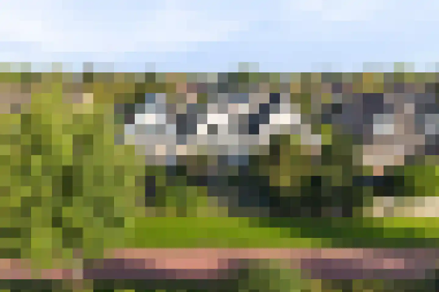 Rollemastate 37 Leeuwarden thumbnail 7