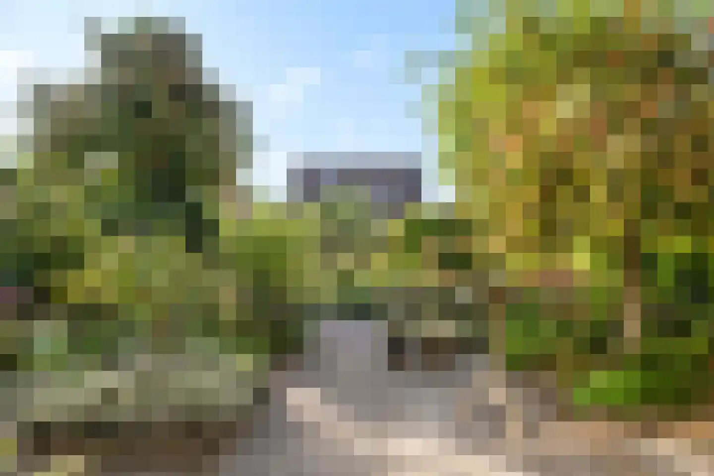 Rollemastate 37 Leeuwarden thumbnail 8