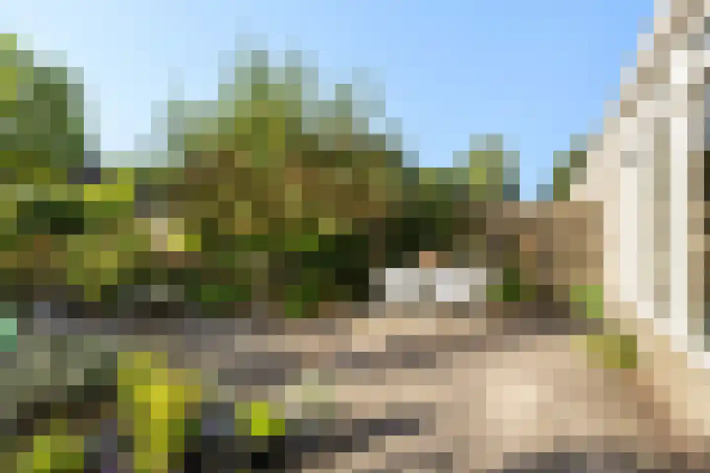 Rollemastate 37 Leeuwarden thumbnail 9
