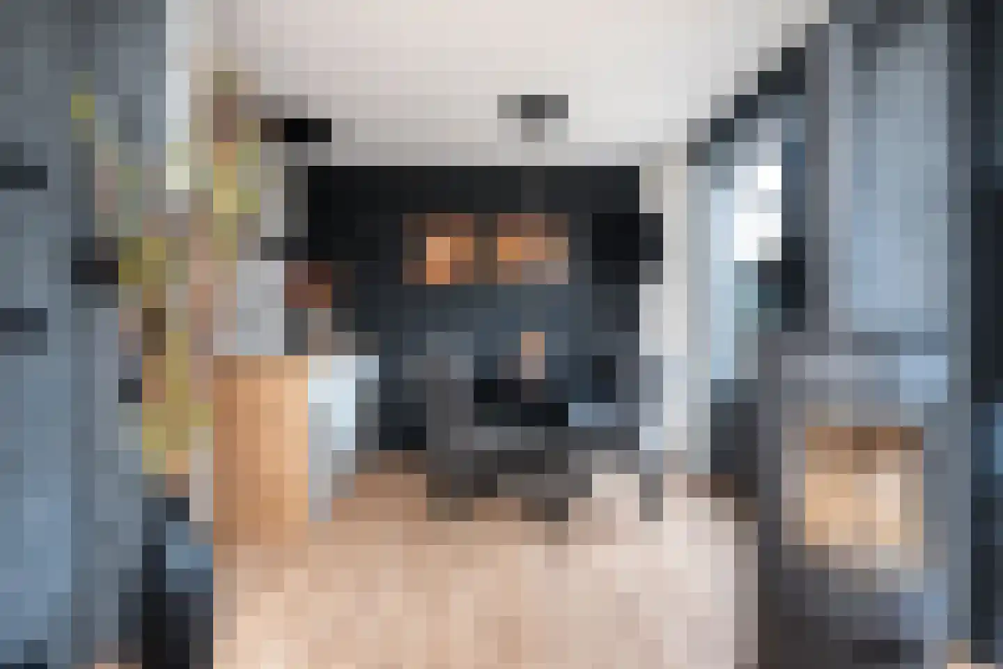 Rollemastate 5 Leeuwarden thumbnail 7