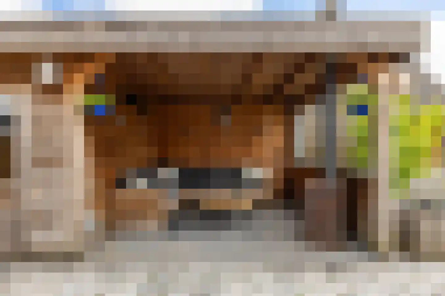 Rollen 4 a Groningen thumbnail 32