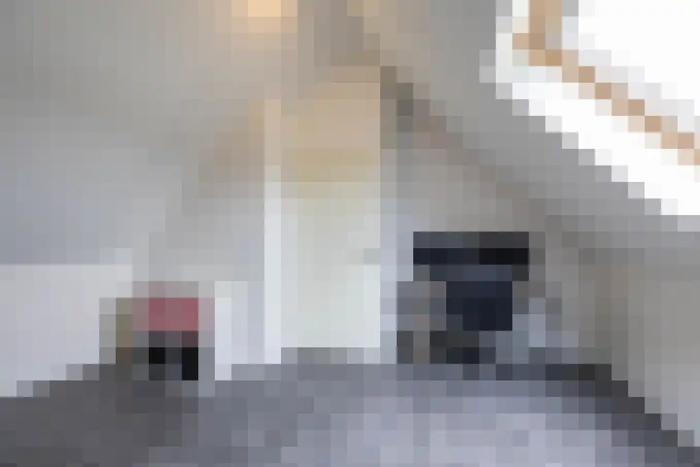 Rollen 4 a Groningen thumbnail 49
