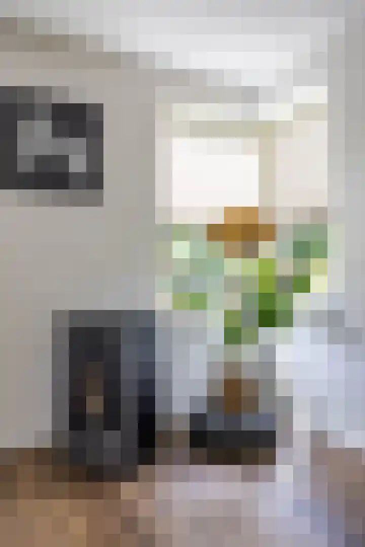 Rollen 4 Groningen thumbnail 17