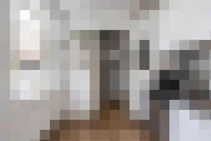 Rollen 4 Groningen thumbnail 24