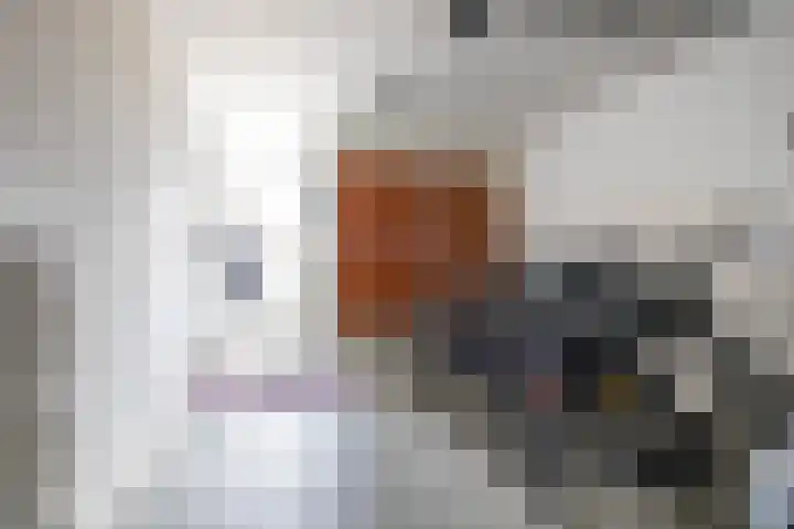 Rollen 4 Groningen thumbnail 27