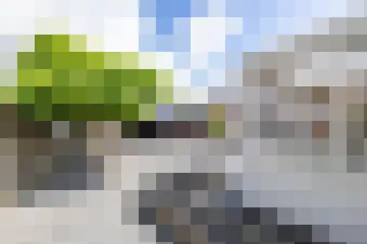 Rollen 4 Groningen thumbnail 29