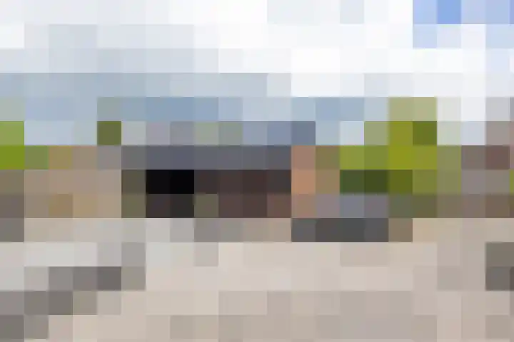 Rollen 4 Groningen thumbnail 30