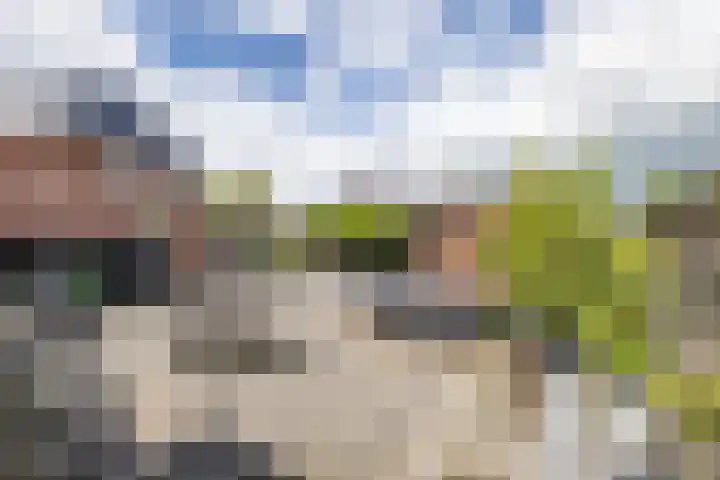 Rollen 4 Groningen thumbnail 31