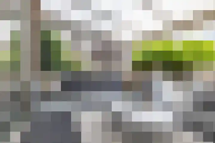 Rollen 4 Groningen thumbnail 36