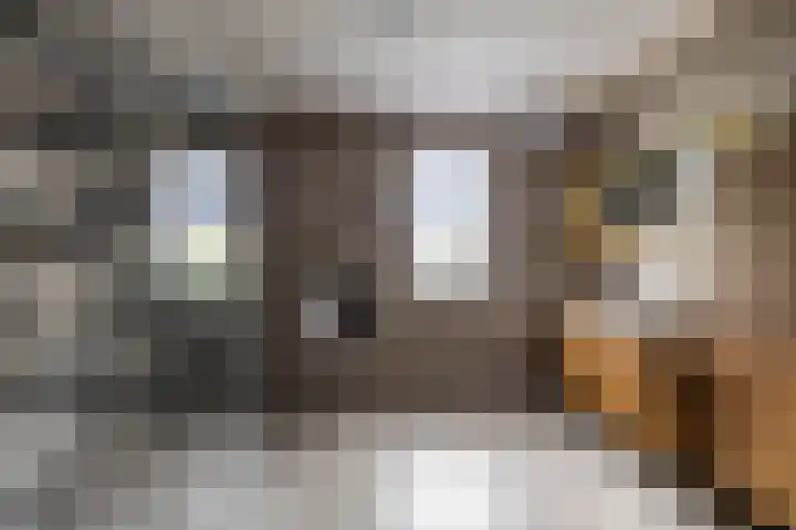 Rollen 4 Groningen thumbnail 4