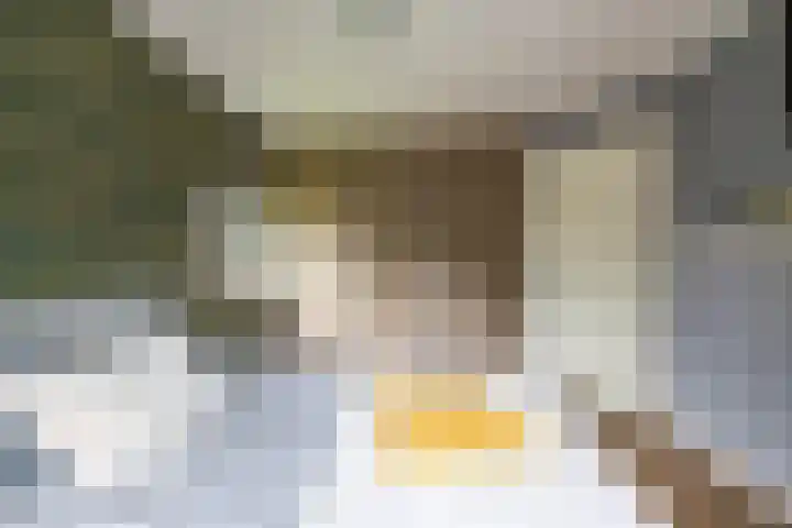Rollen 4 Groningen thumbnail 42
