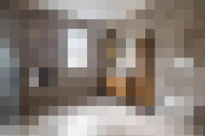 Rollen 4 Groningen thumbnail 45