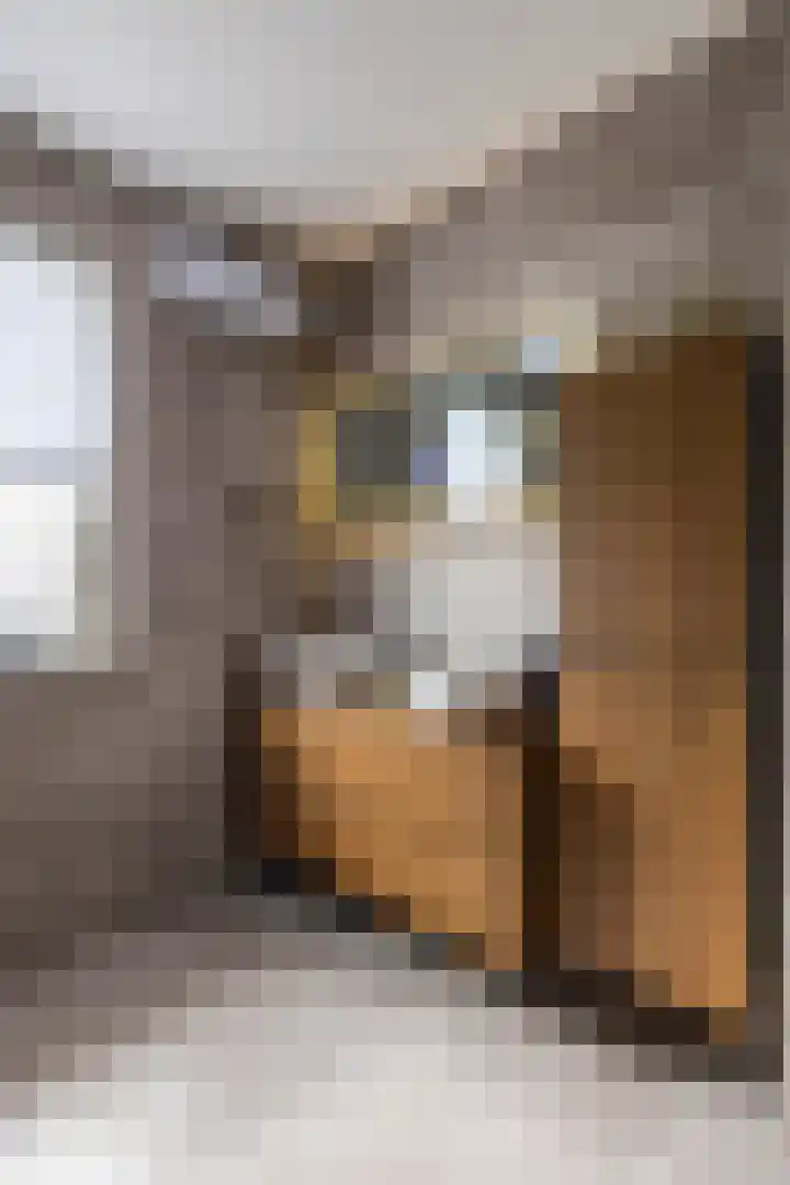 Rollen 4 Groningen thumbnail 49
