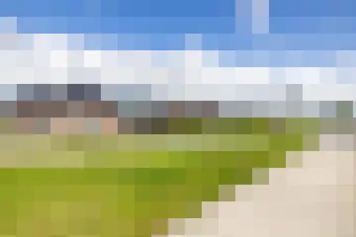 Rollen 4 Groningen thumbnail 5