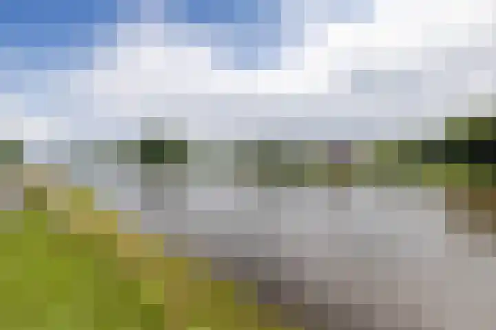 Rollen 4 Groningen thumbnail 57