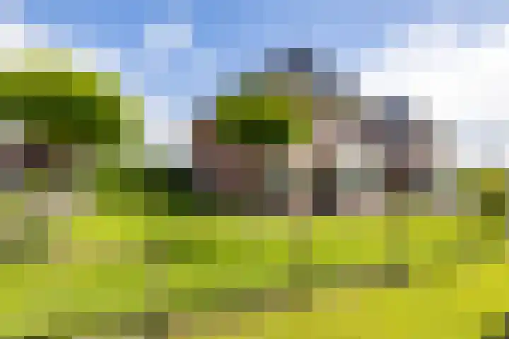 Rollen 4 Groningen thumbnail 7