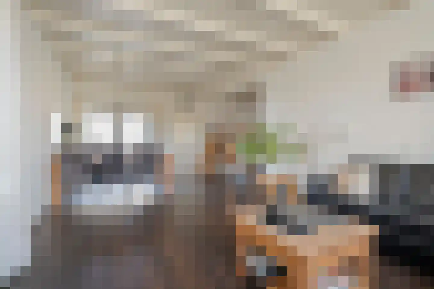 Rollepaal 36 Dedemsvaart thumbnail 10