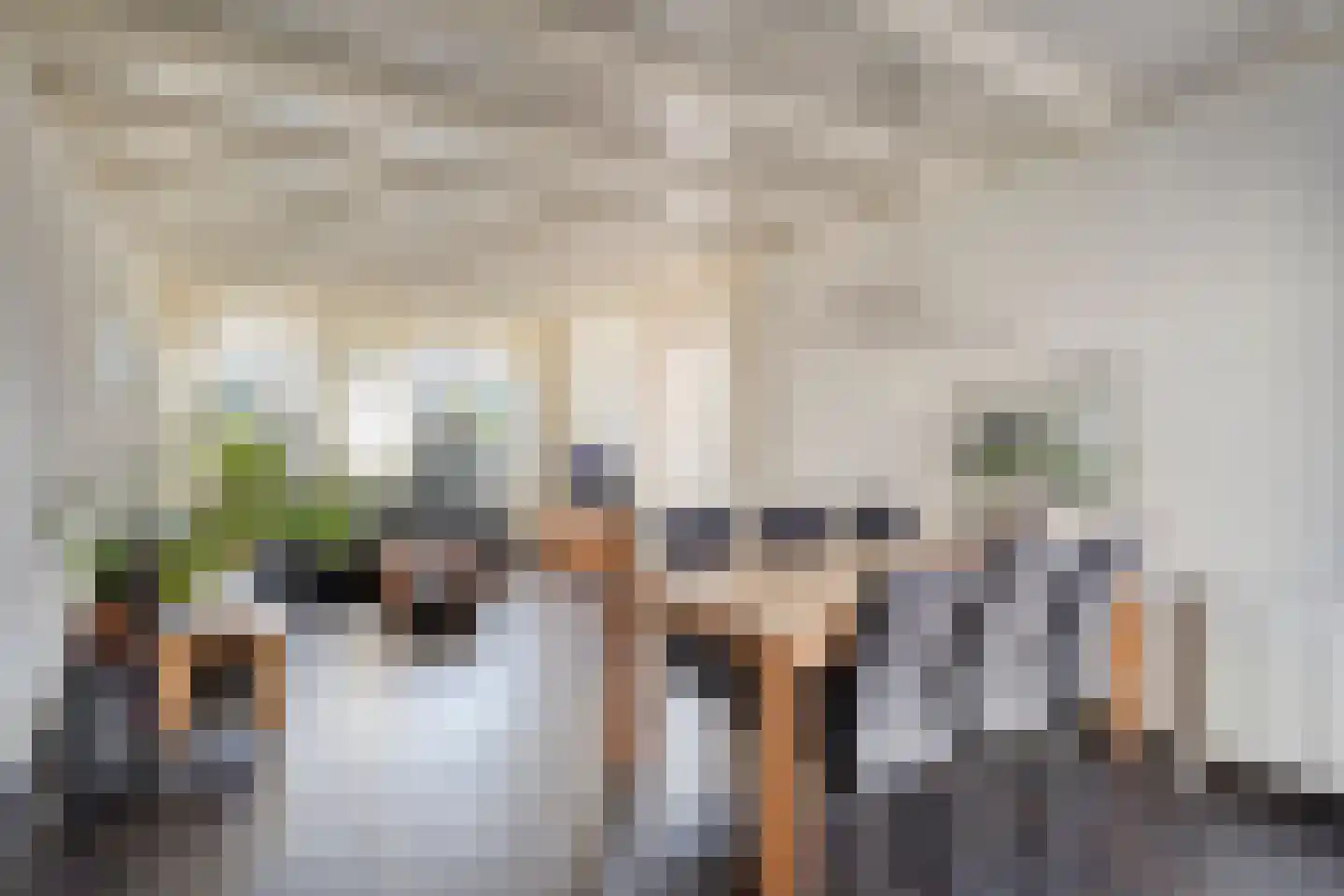 Rollepaal 36 Dedemsvaart thumbnail 11
