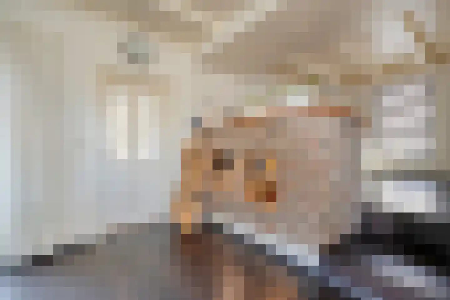 Rollepaal 36 Dedemsvaart thumbnail 12