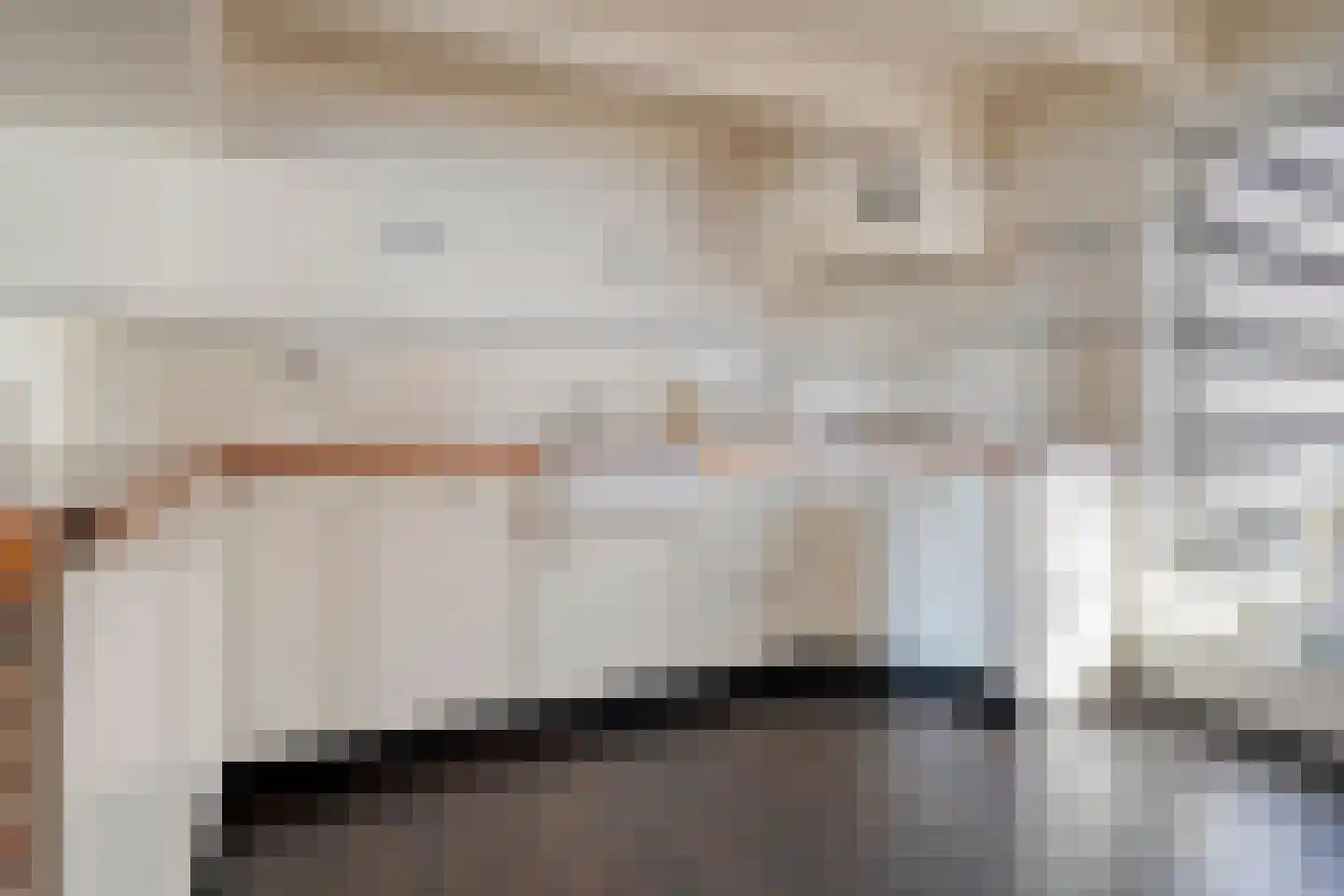 Rollepaal 36 Dedemsvaart thumbnail 13