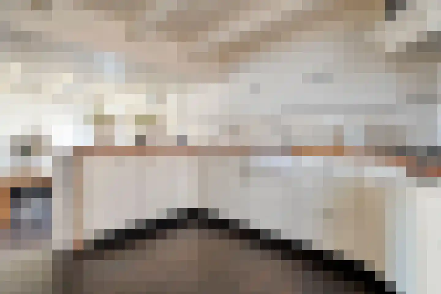 Rollepaal 36 Dedemsvaart thumbnail 14