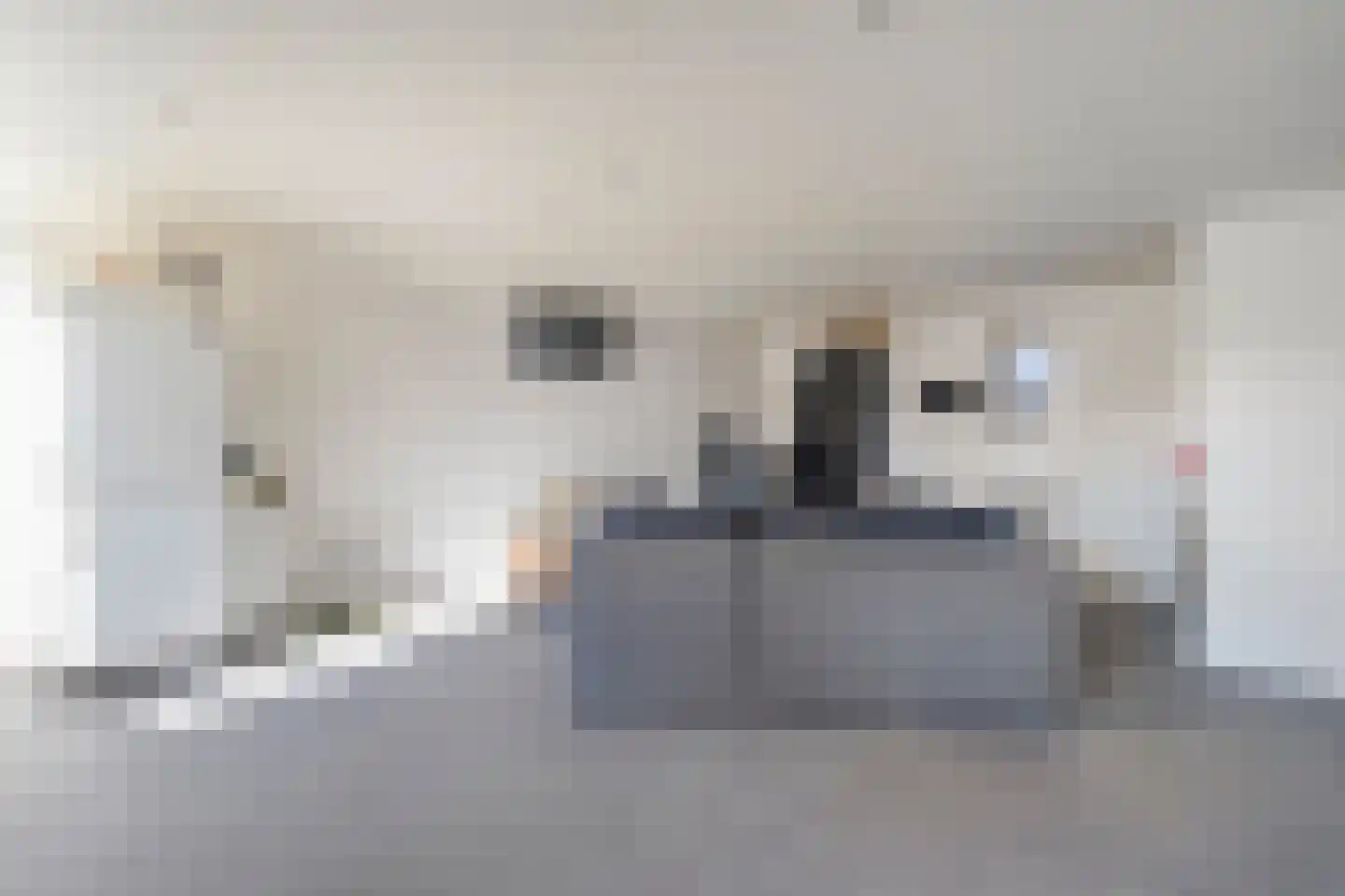 Rollepaal 36 Dedemsvaart thumbnail 16